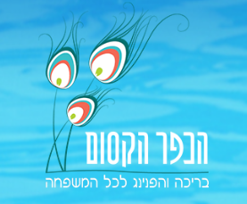 צילום מסך 2024-07-10 122810