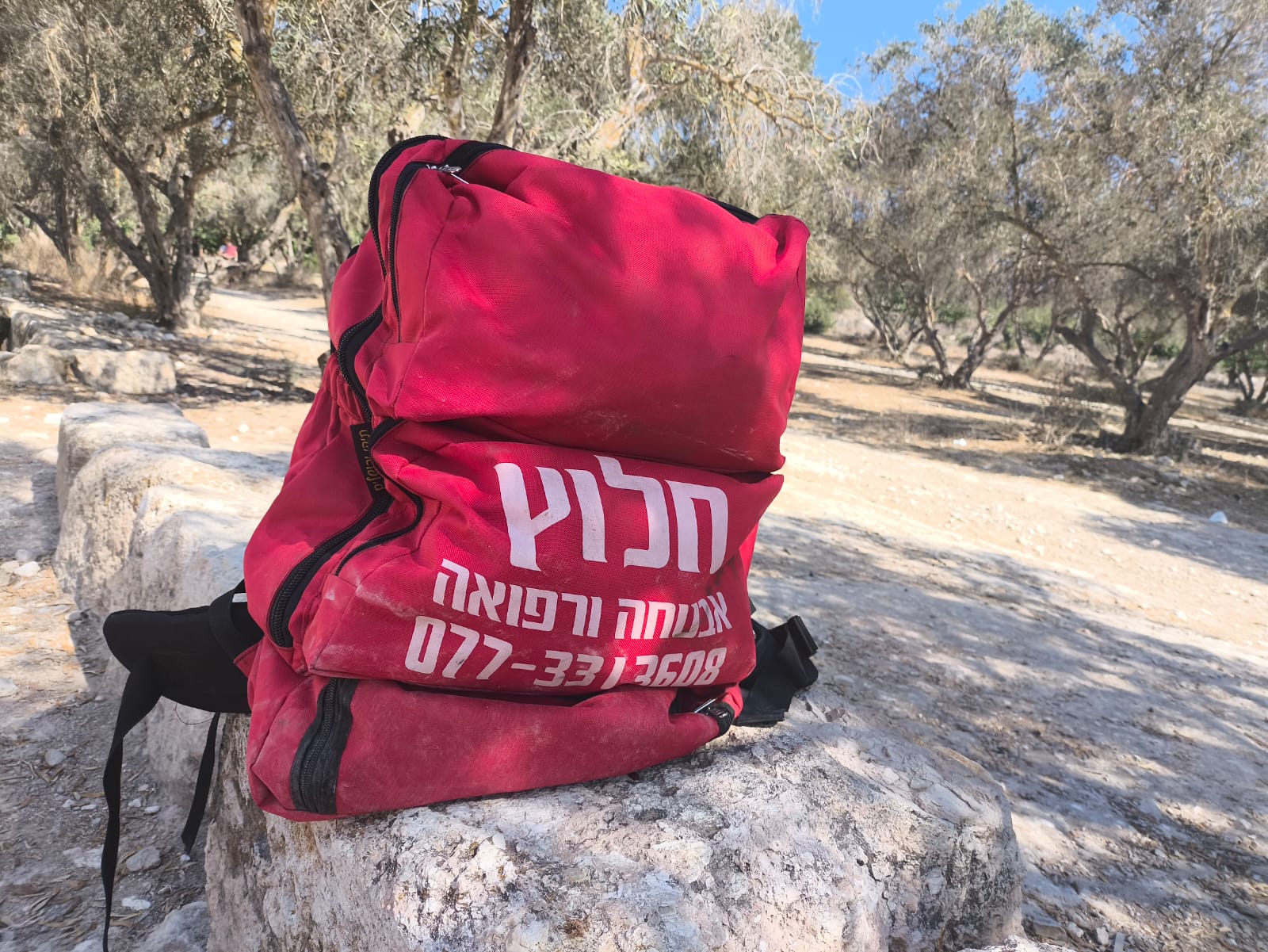 תמונה של WhatsApp_ 2024-11-08 בשעה 14.34.51_07168bc7